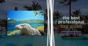 Flores and Komodo Island tours 2019